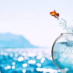 CHANGE SUCCESS FOR LEADERS & PRACTITIONERS COURSE